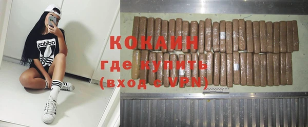 хмурый Арсеньев
