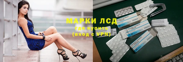 хмурый Арсеньев