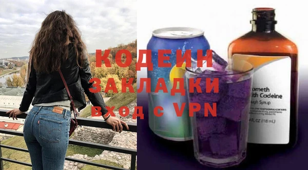 хмурый Арсеньев