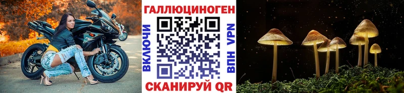 блэк спрут зеркало  Аркадак  Галлюциногенные грибы мухоморы 